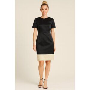 Giulietta Italian Silk Sheath Party Dress 6 NWT